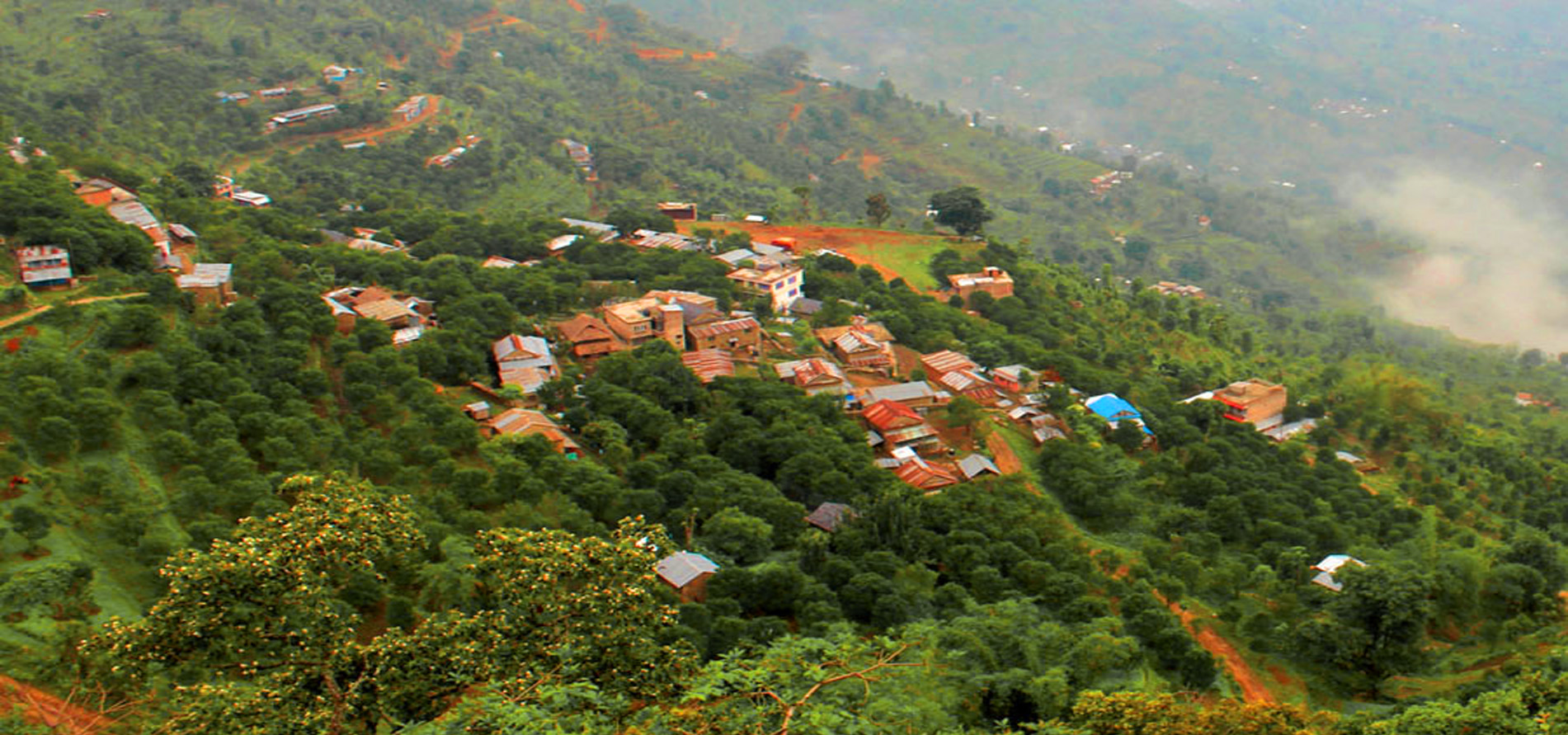 Dhadbari, Orange Village